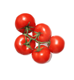Fresh Tomato